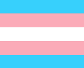 A transgender flag shows five horizontal stripes of three colors—light blue, light pink and white.