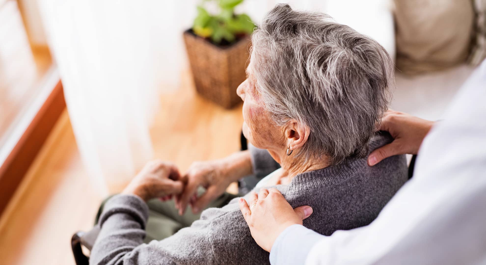 Elderly adult in a chair having their shoulders massaged by a carer
