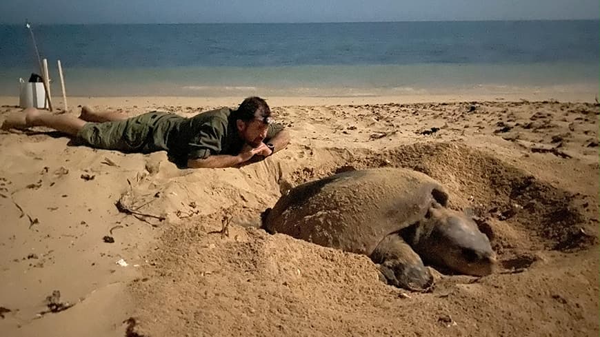 Image of Casper Avenant laying on the beach beside a sea turtle