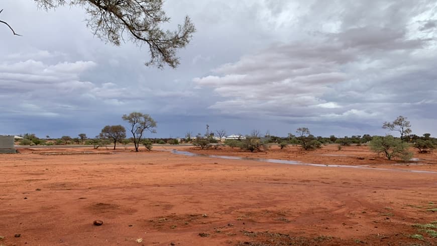 red dirt clearing with scrubby trees in background on grey sky
