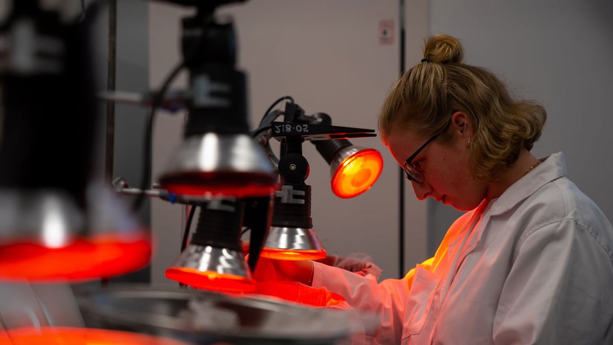 Master of Science by Research