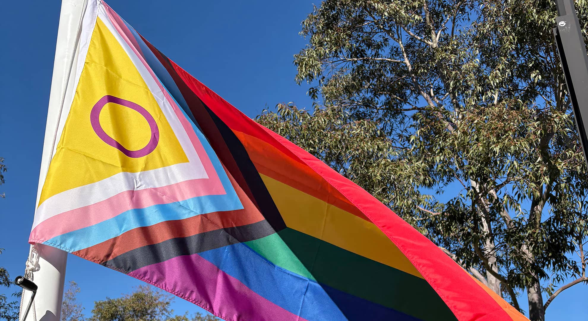 Flag being raised