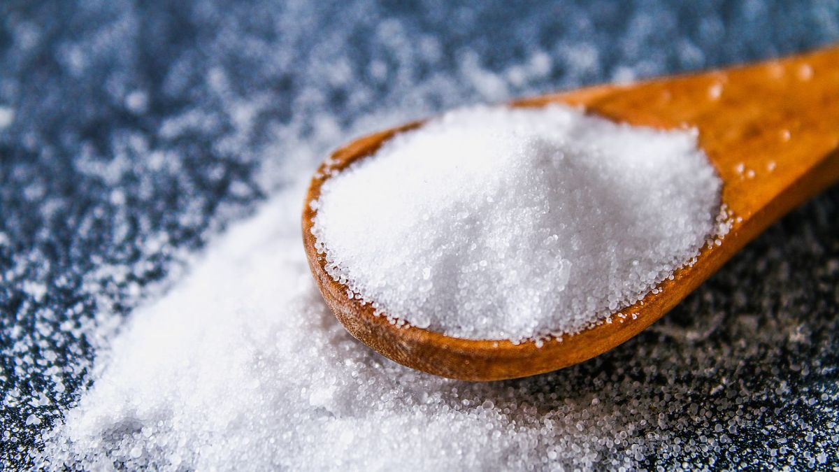 ECU | High-salt diet linked to faster memory decline in men, ECU study ...