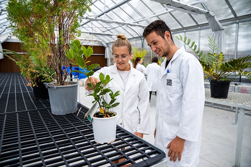 Two students in environmental science lab tending to a plant