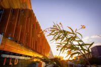 External view of the Ngoolark building at sunset.