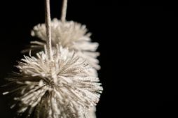 Grasstree (at rest), 2024, Image courtesy of the artist and MARS Gallery