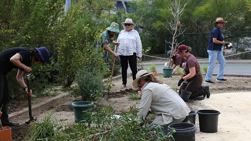 A group of volunteers planting the garden, with a large tree in the foreground waiting to be planted.