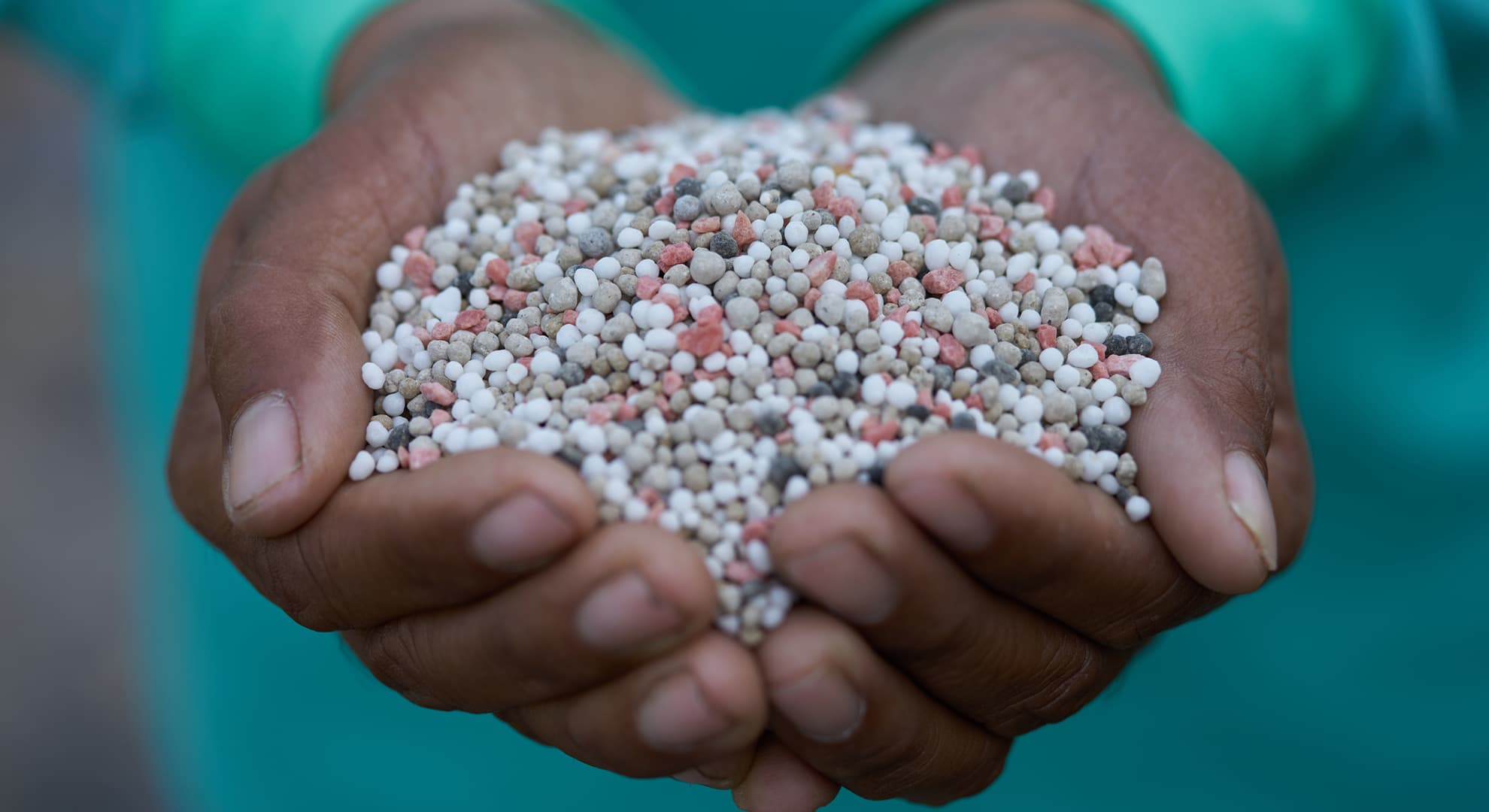 Two hands cupped holding grains of Sulphate of Potash