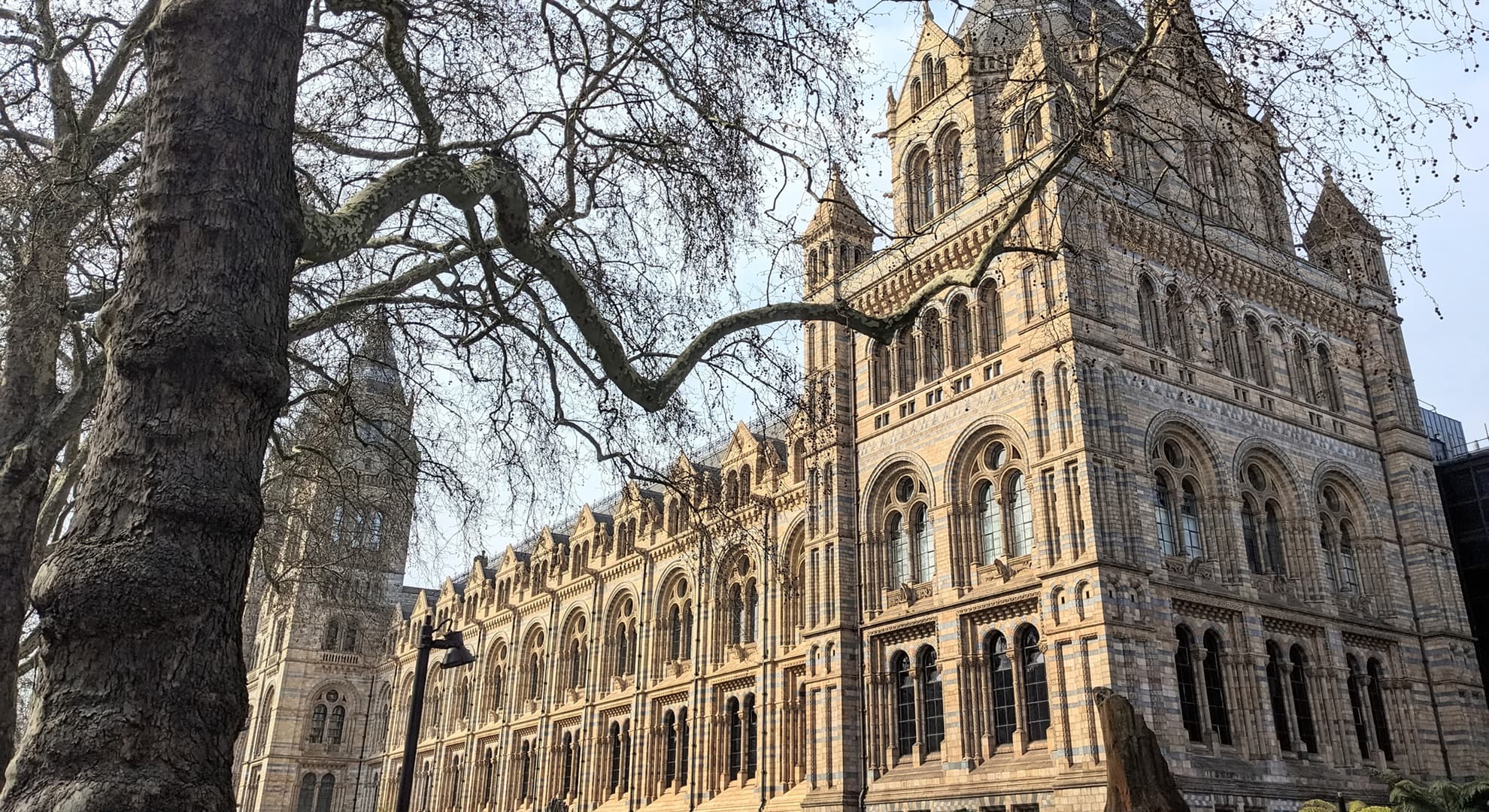 External shot of the Natural History Museum in London