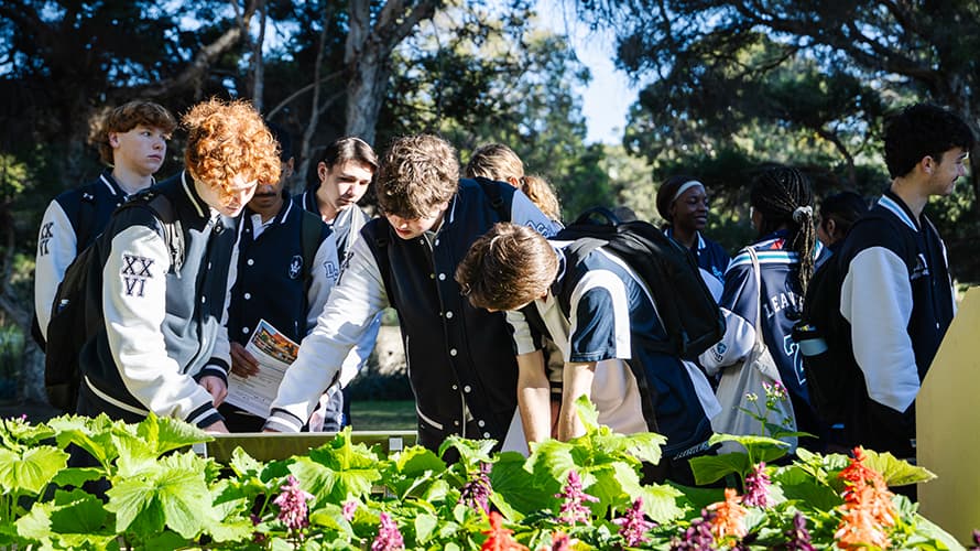 Students reading papers, chatting and looking at flower beds
