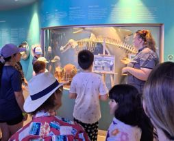 Visitors gather around a museum display featuring a dolphin skeleton and historic diving equipment, while a guide presents information about dolphin anatomy in a blue-themed marine science exhibition.